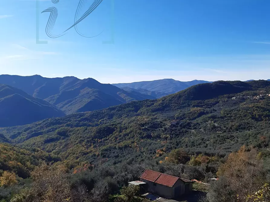 Immagine 8 di Rustico / casale in vendita  in borgata salina a Aquila D'arroscia