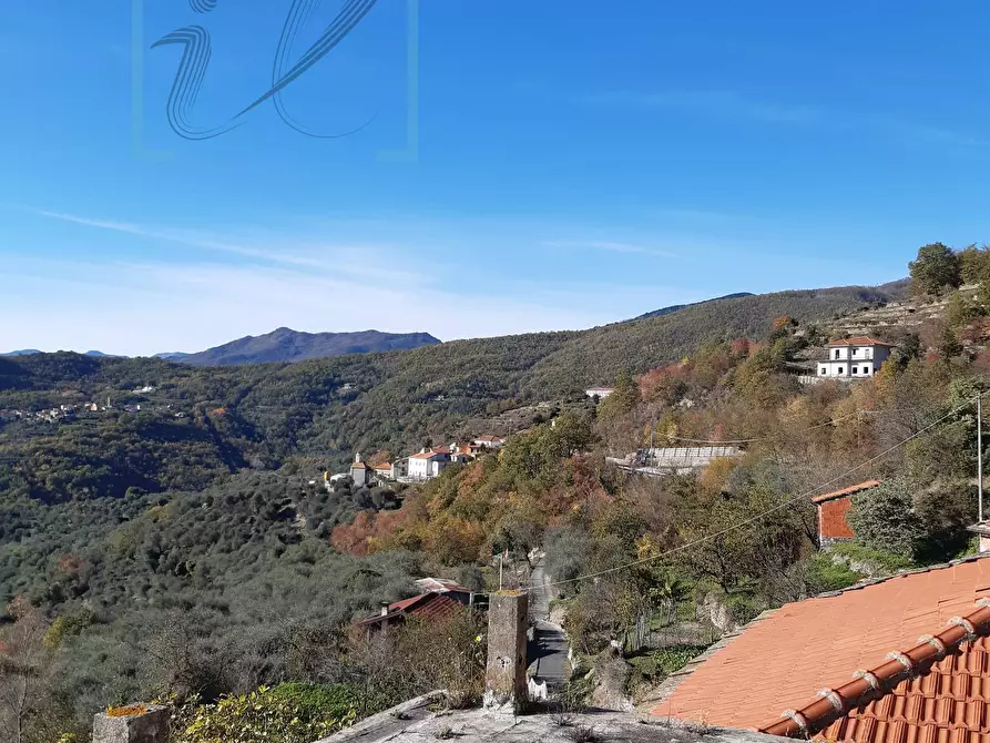 Immagine 56 di Rustico / casale in vendita  in borgata salina a Aquila D'arroscia