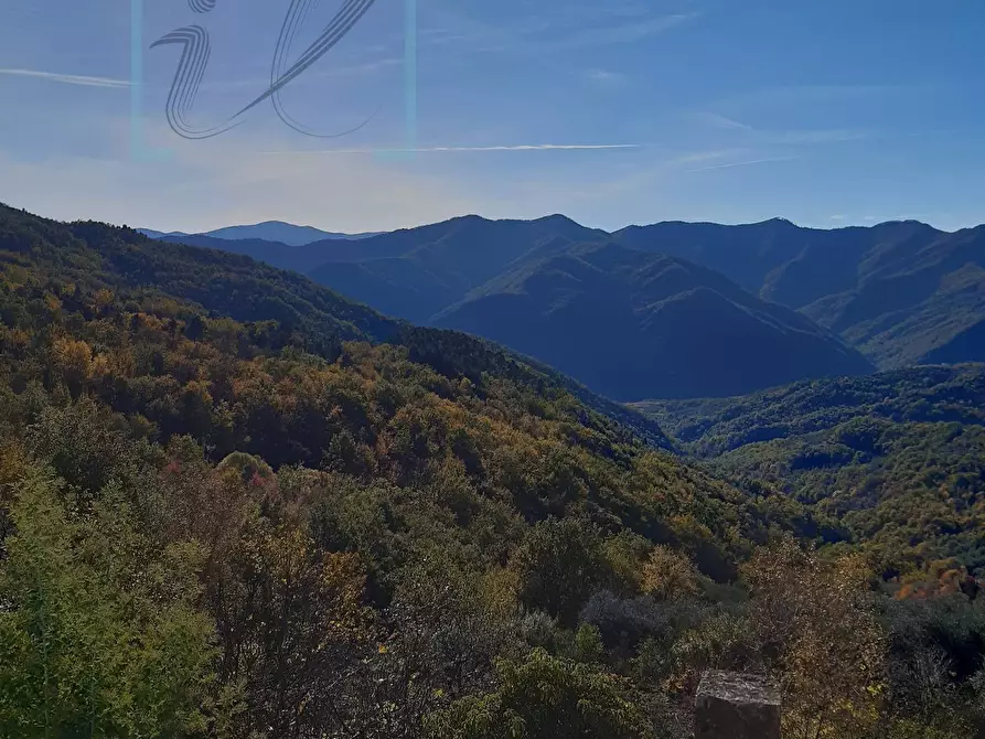 Immagine 9 di Rustico / casale in vendita  in borgata salina a Aquila D'arroscia