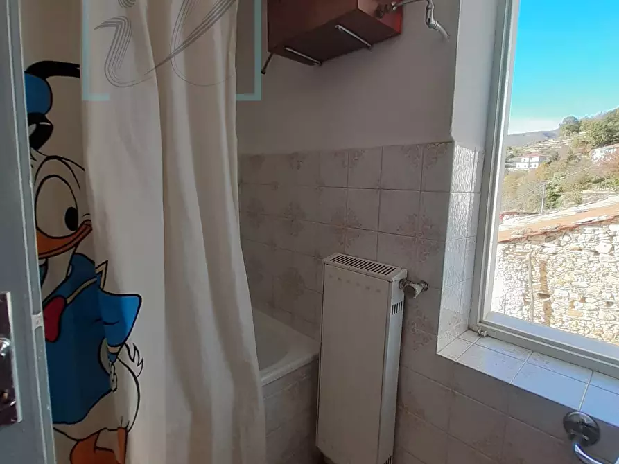 Immagine 12 di Rustico / casale in vendita  in borgata salina a Aquila D'arroscia