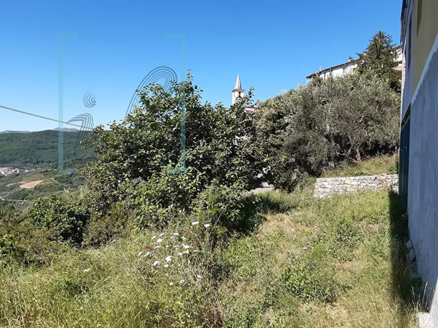 Immagine 43 di Casa indipendente in vendita  in Cesio a Cesio