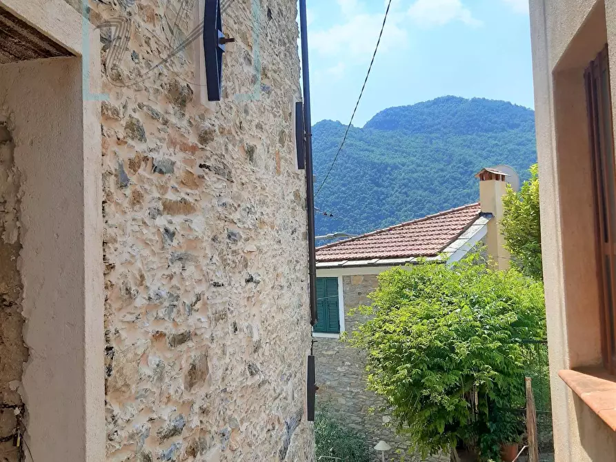 Immagine 32 di Rustico / casale in vendita  in borgata arma a Ranzo