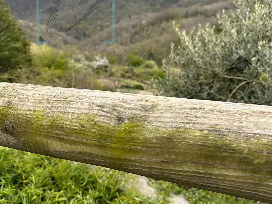 Immagine 43 di Rustico / casale in vendita  in via cuneo a Balestrino
