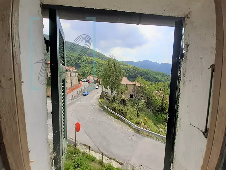 Immagine 21 di Rustico / casale in vendita  in via grenzolini a Armo