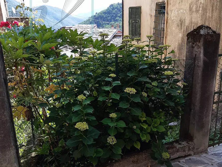 Immagine 33 di Rustico / casale in vendita  in via chiappa a Rezzo