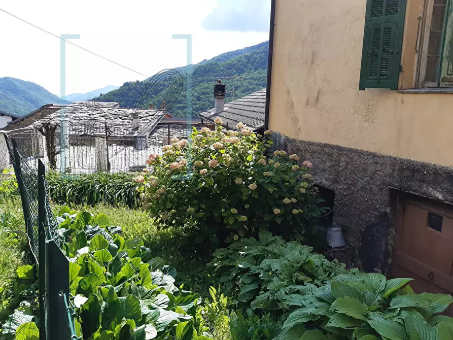 Immagine 35 di Rustico / casale in vendita  in via chiappa a Rezzo