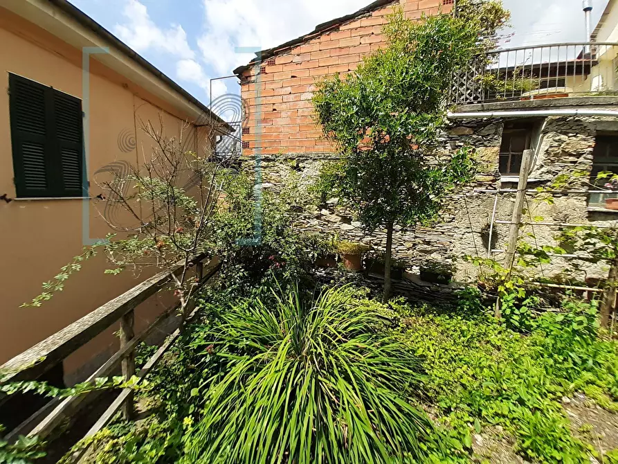 Immagine 37 di Rustico / casale in vendita  in borgata aira aquila d'arroscia a Aquila D'arroscia