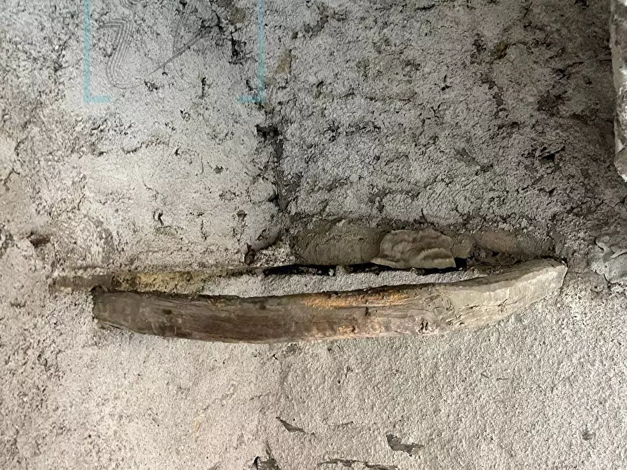 Immagine 14 di Rustico / casale in vendita  in Via Gallizzi a Arnasco