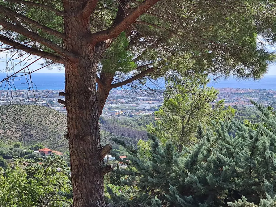 Immagine 7 di Villa in vendita  in via Pineta a Cisano Sul Neva