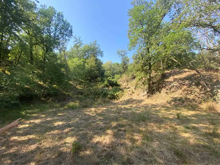 Immagine 5 di Terreno residenziale in vendita  in località bricco a Calice Ligure