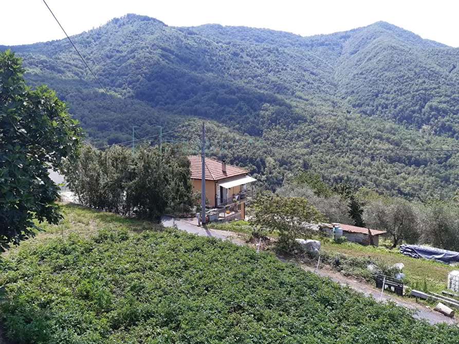 Immagine 21 di Rustico / casale in vendita  in strada provinciale a Armo