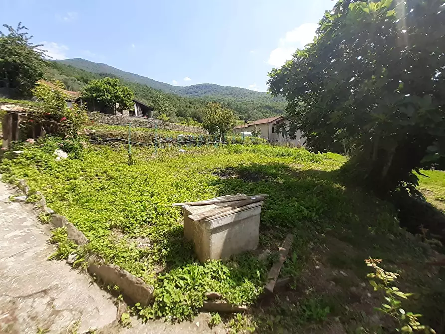 Immagine 29 di Rustico / casale in vendita  in strada provinciale a Armo