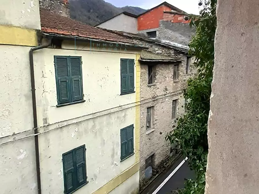 Immagine 6 di Rustico / casale in vendita  in Via Lucifredi a Borghetto D'arroscia