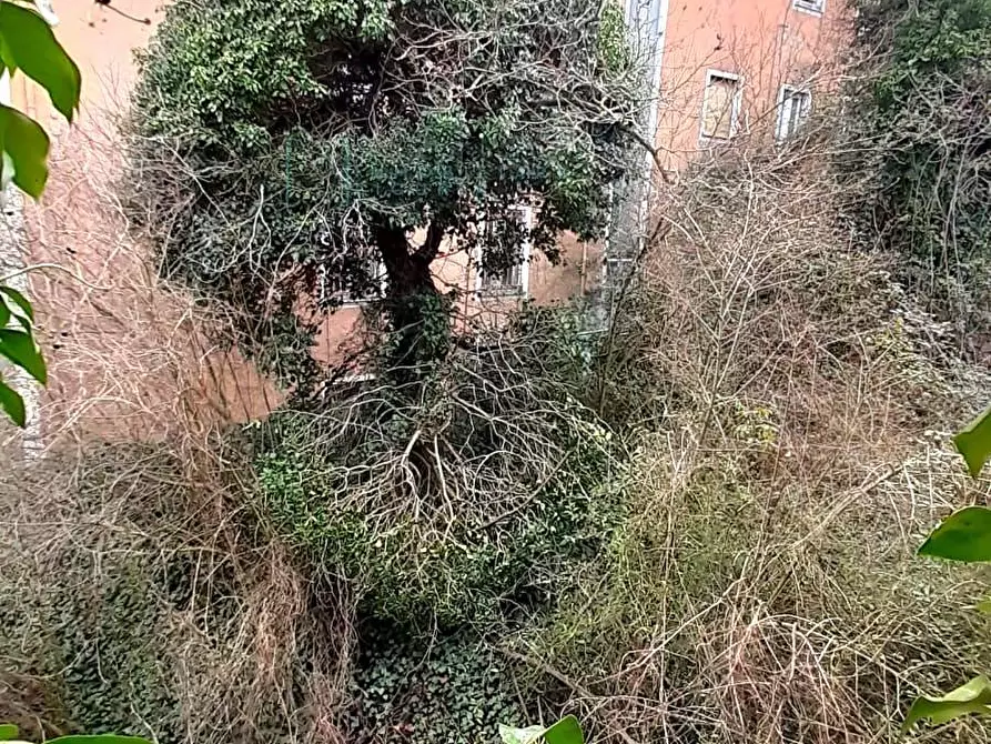 Immagine 14 di Rustico / casale in vendita  in Via Lucifredi a Borghetto D'arroscia