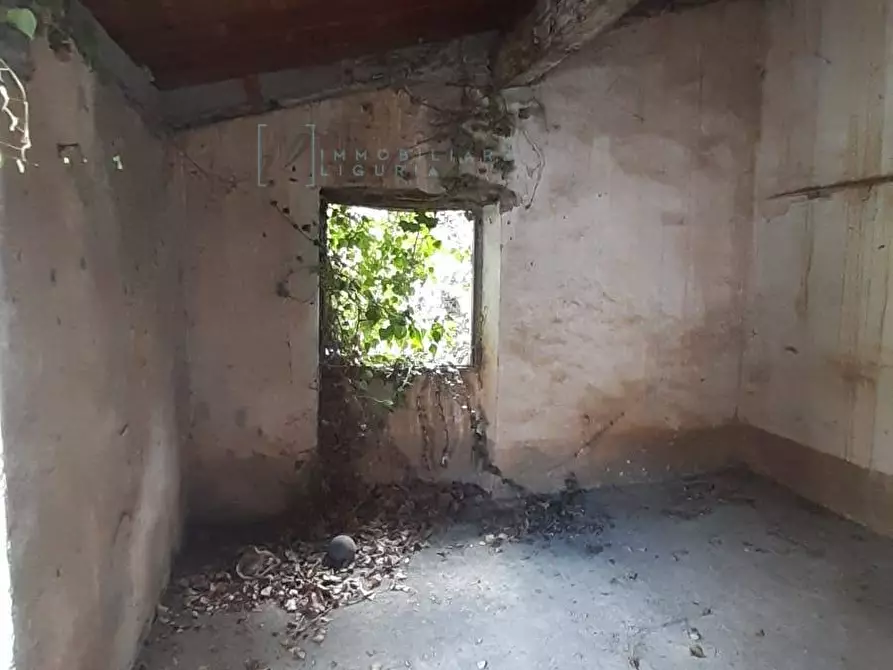 Immagine 21 di Rustico / casale in vendita  in Via Lucifredi a Borghetto D'arroscia