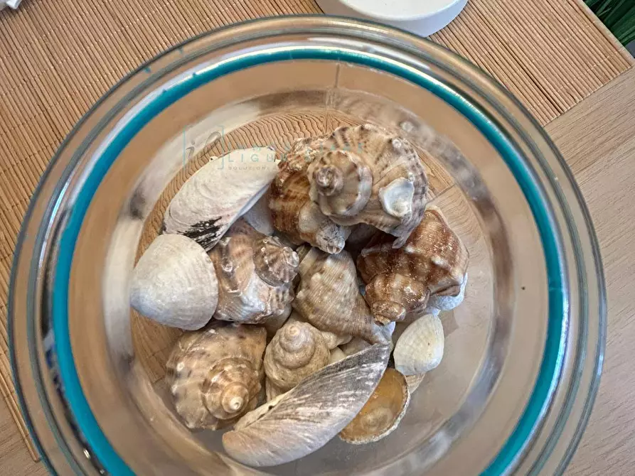 Immagine 50 di Appartamento in affitto  in Via Oddo a Albenga