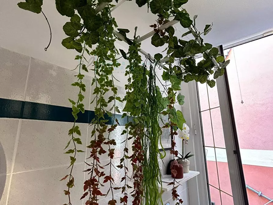 Immagine 52 di Appartamento in affitto  in Via Oddo a Albenga