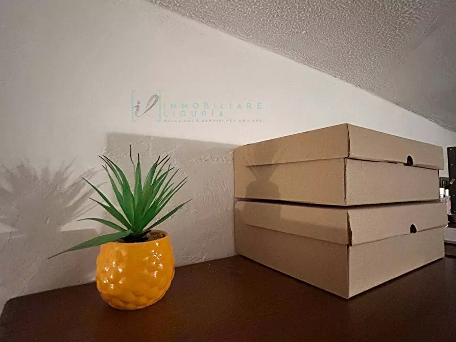 Immagine 57 di Appartamento in affitto  in Via Oddo a Albenga