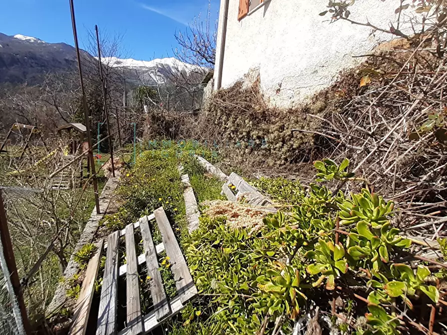 Immagine 29 di Casa indipendente in vendita  in via piazza della chiesa a Cosio D'arroscia