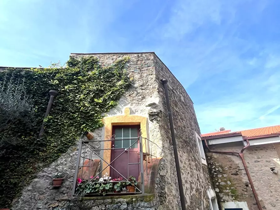 Immagine 24 di Rustico / casale in vendita  in Via IV novembre a Castelbianco