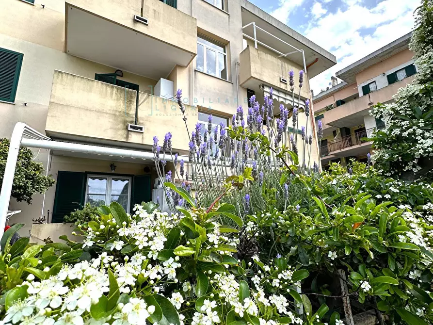 Immagine 1 di Appartamento in vendita  in Via Rusineo a Albenga