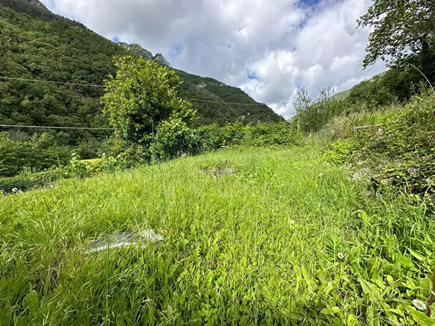 Immagine 45 di Rustico / casale in vendita  in Via Pennavaire a Castelbianco