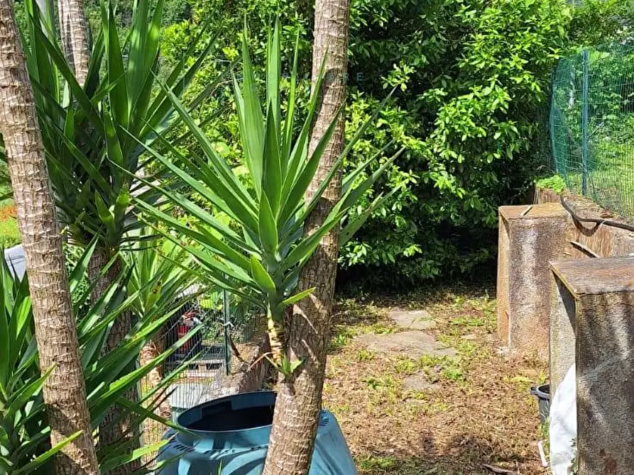 Immagine 54 di Rustico / casale in vendita  in Via Pennavaire a Castelbianco