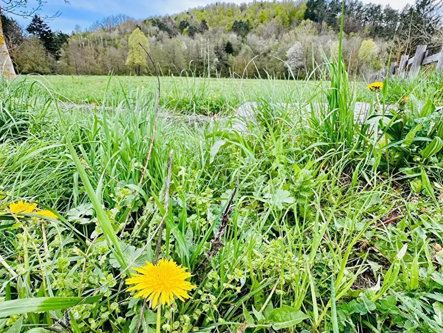 Immagine 10 di Rustico / casale in vendita  in Via Tembien a Bardineto