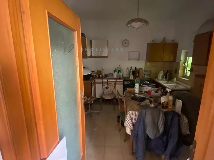 Immagine 6 di Terreno agricolo in vendita  in regione prato grande albenga a Albenga