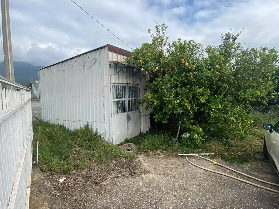 Immagine 4 di Terreno agricolo in vendita  in regione prato grande albenga a Albenga