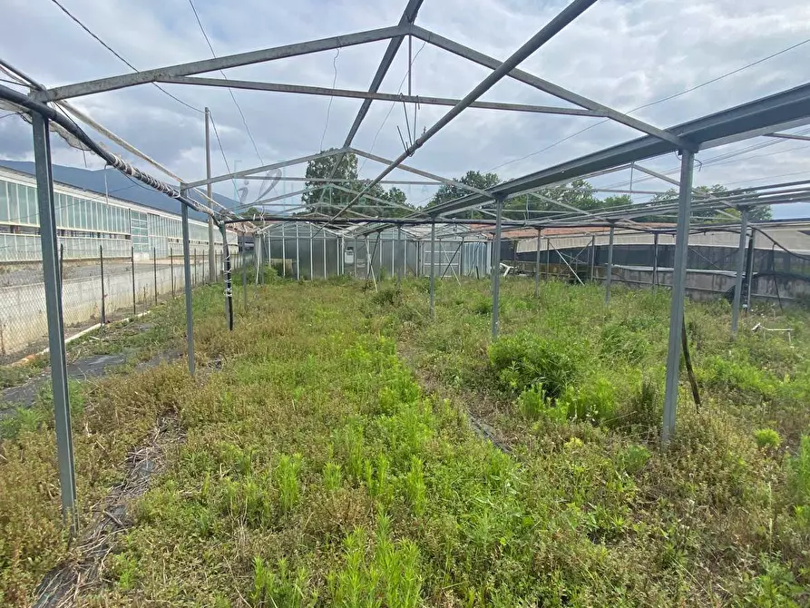 Immagine 1 di Terreno agricolo in vendita  in regione prato grande albenga a Albenga