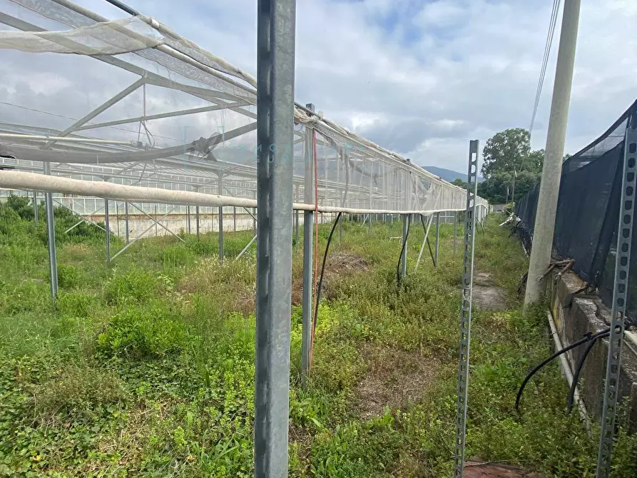 Immagine 1 di Terreno agricolo in vendita  in regione prato grande albenga a Albenga