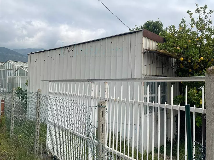 Immagine 1 di Terreno agricolo in vendita  in regione prato grande albenga a Albenga