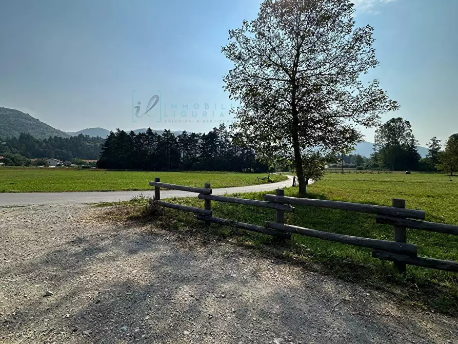 Immagine 70 di Rustico / casale in vendita  in Via Tembien a Bardineto
