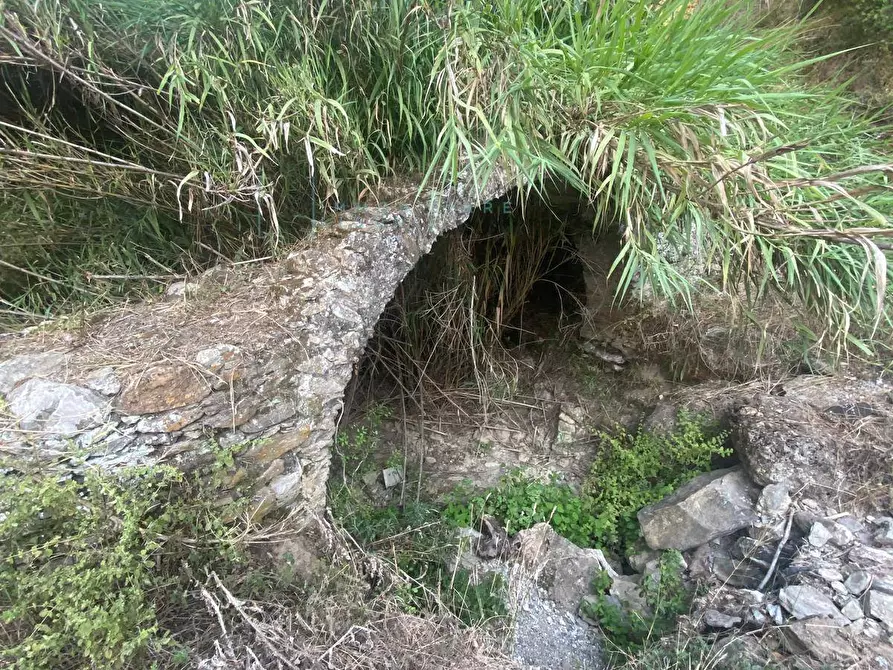 Immagine 4 di Terreno agricolo in vendita  in San Fedele a Albenga
