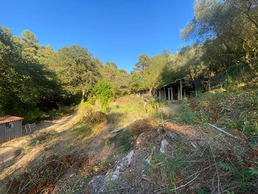 Immagine 7 di Terreno agricolo in vendita  in San Fedele a Albenga