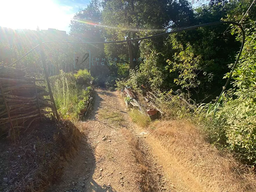 Immagine 8 di Terreno agricolo in vendita  in San Fedele a Albenga