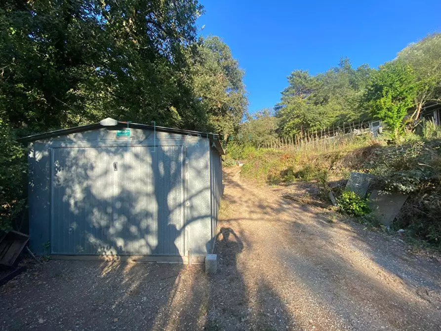 Immagine 9 di Terreno agricolo in vendita  in San Fedele a Albenga