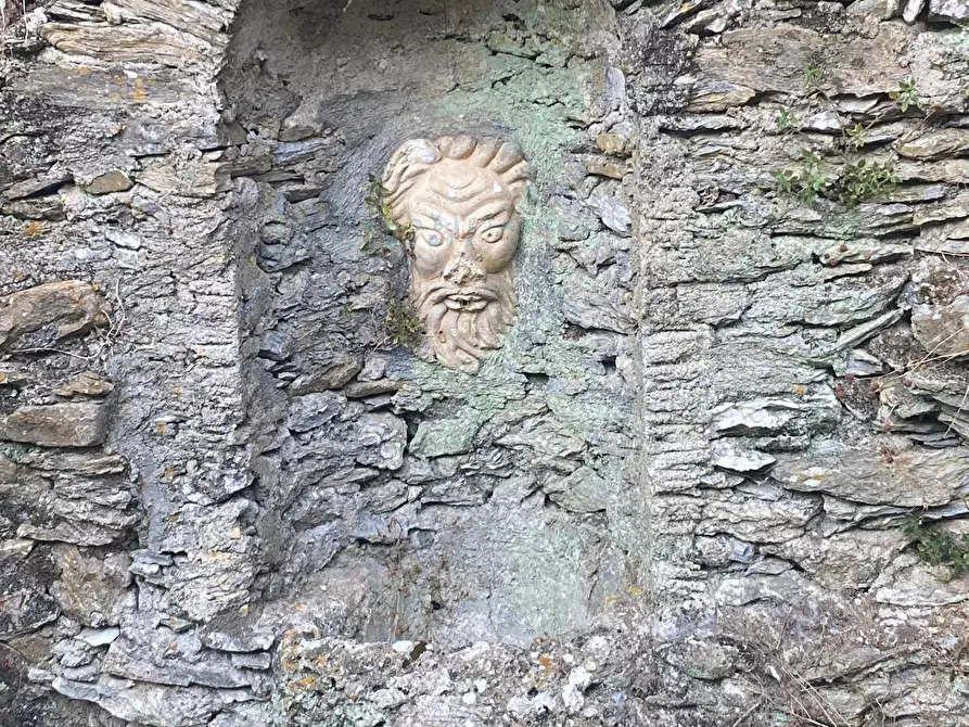 Immagine 10 di Terreno agricolo in vendita  in San Fedele a Albenga