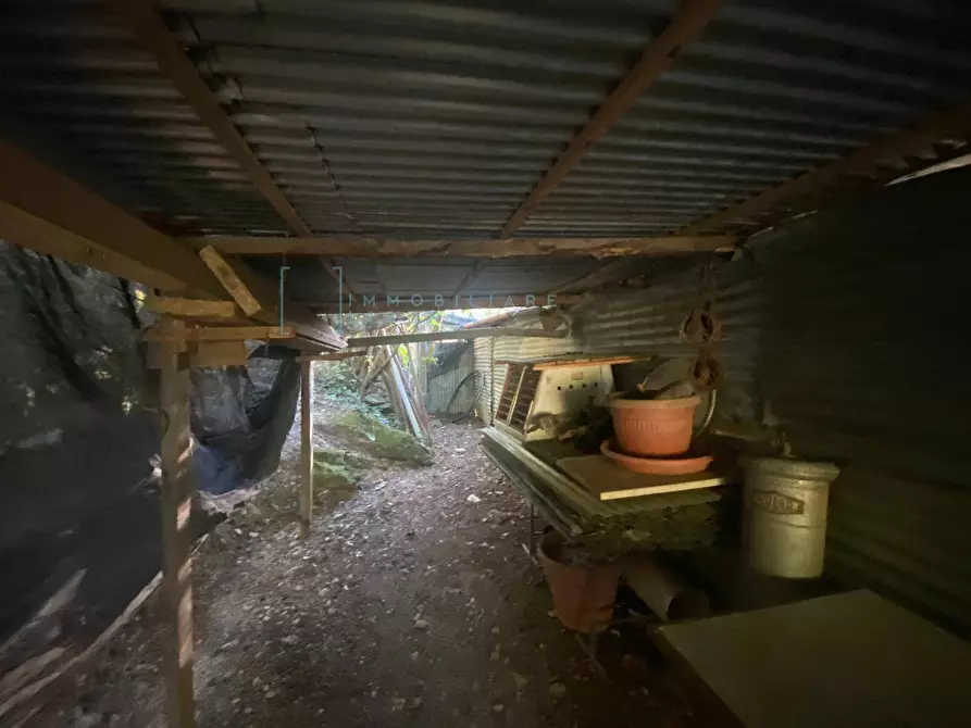 Immagine 11 di Terreno agricolo in vendita  in San Fedele a Albenga