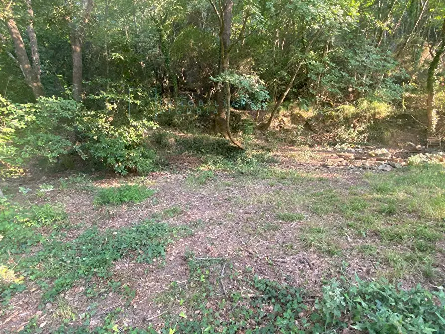 Immagine 14 di Terreno agricolo in vendita  in San Fedele a Albenga