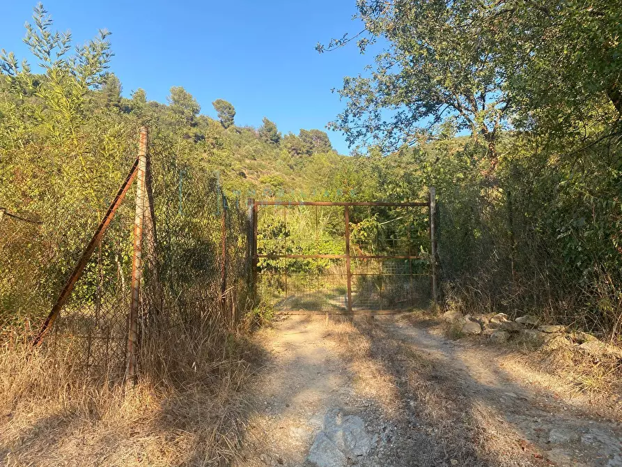 Immagine 15 di Terreno agricolo in vendita  in San Fedele a Albenga