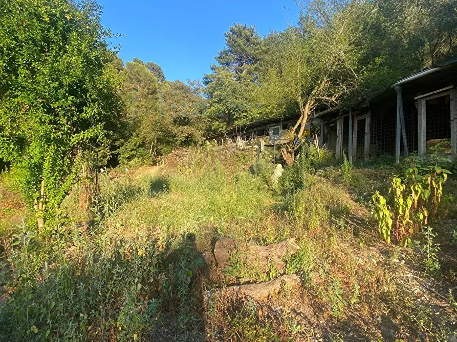 Immagine 1 di Terreno agricolo in vendita  in San Fedele a Albenga