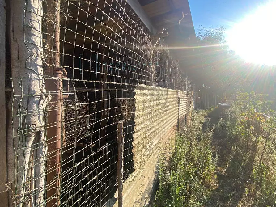 Immagine 16 di Terreno agricolo in vendita  in San Fedele a Albenga