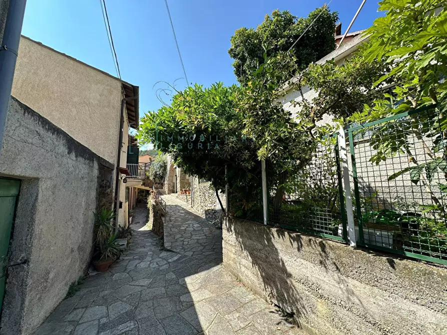 Immagine 1 di Rustico / casale in vendita  in Via Gallizzi a Arnasco