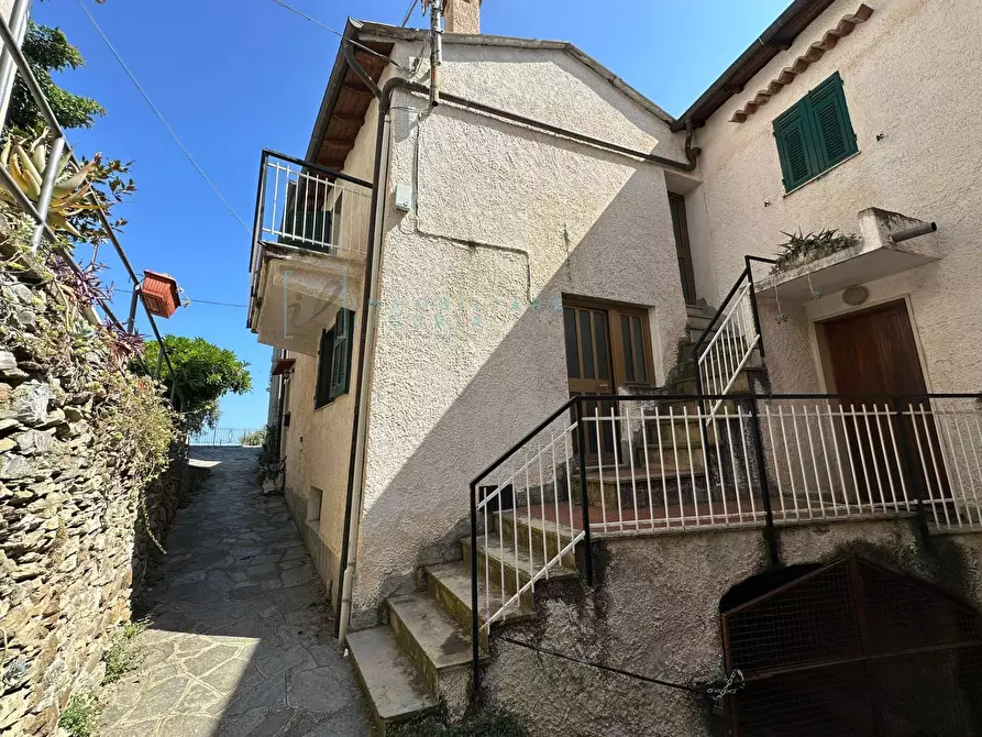 Immagine 1 di Rustico / casale in vendita  in Via Gallizzi a Arnasco