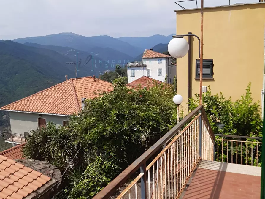 Immagine 24 di Rustico / casale in vendita  in Borgo Aracà a Ranzo