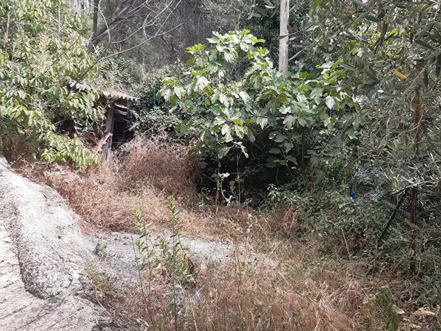 Immagine 36 di Rustico / casale in vendita  in Borgo Aracà a Ranzo