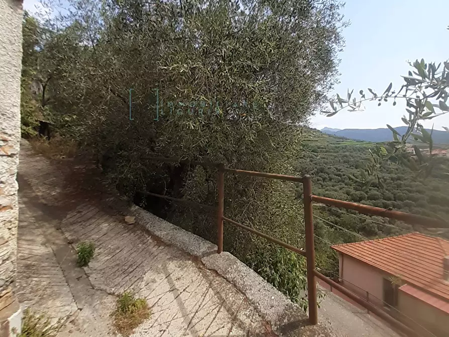 Immagine 37 di Rustico / casale in vendita  in Borgo Aracà a Ranzo