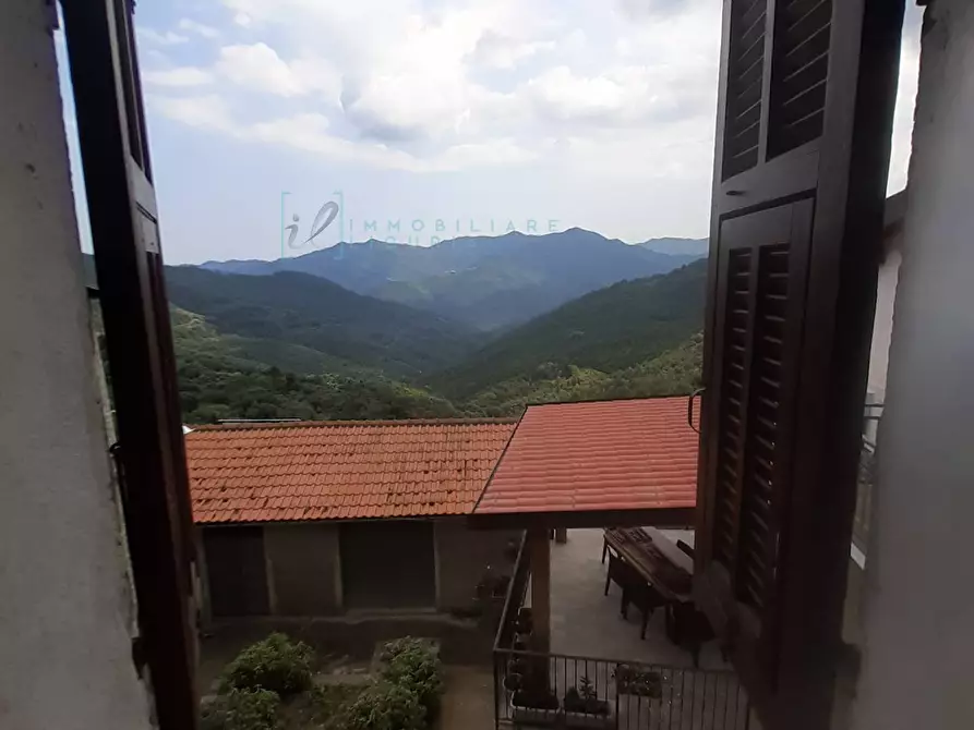 Immagine 21 di Rustico / casale in vendita  in località quartarole a Borghetto D'arroscia